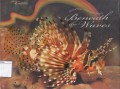Beneath the Waves