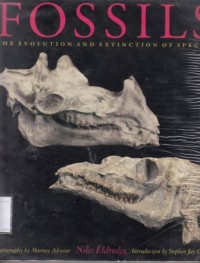 Image of Fossils: the evolution and extinction of species