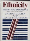 Ethnicity : theory and Experience