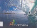 Surfing Indonesia