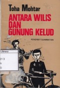 Antara Wilis dan Gunung Kelud