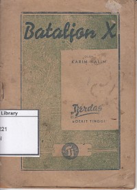 Bataljon X