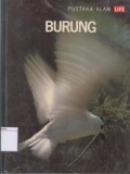 Burung