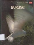 Burung