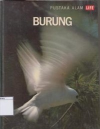Burung