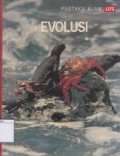Evolusi
