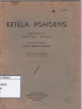 Ketela pohoeng