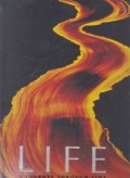 Life: A Journey Through Time