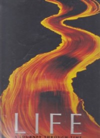 Life: A Journey Through Time