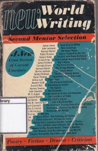 New World Writing Second Mentor Selection