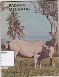 Padang Mengatas