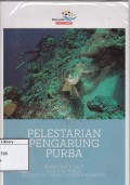 Pelestarian pengarung purba: Kisah penyu laut dan aksi nyata 