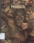 Primata