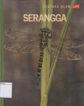 Serangga