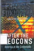 After the Neocons : America and the Crossroads