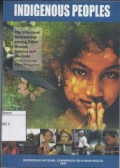 The Strutural Relationship Between Indigenous Peoples, Ethnic Groups, Nations and the State (From a Human Rights Perspective)