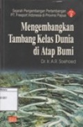 Sejarah pengembangan pertambangan PT. Freeport Indonesia di Provinsi Papua: Mengembangkan Tambang Kelas Dunia di Atap Bumi