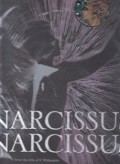 Narcissus Narcissus