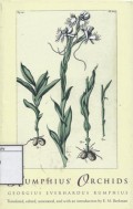 Rumphius Orchids : Orchid Texts from The Ambonese Herbal