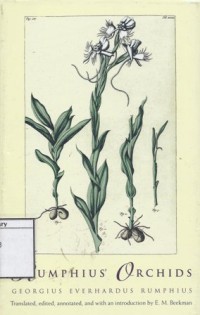 Rumphius Orchids : Orchid Texts from The Ambonese Herbal