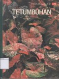 Tetumbuhan