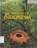The Wildlife of Indoneia: Nature's Treasurehouse